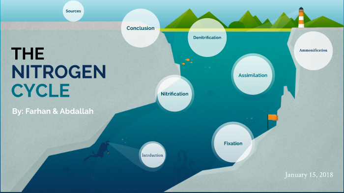 Nitrogen Cycle By Farhan Abdukadir 5448