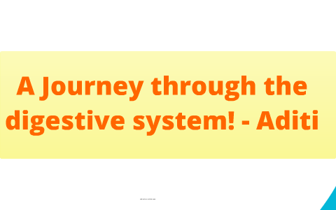 A Journey through the digestive systems by Aditi Rudra on Prezi