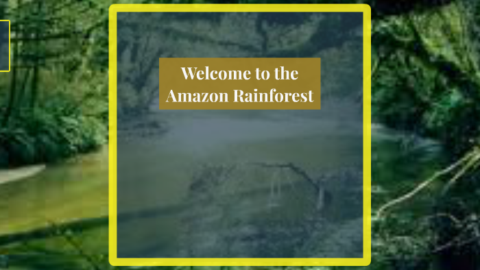 welcome to the Amazon Rainforest by savion west on Prezi
