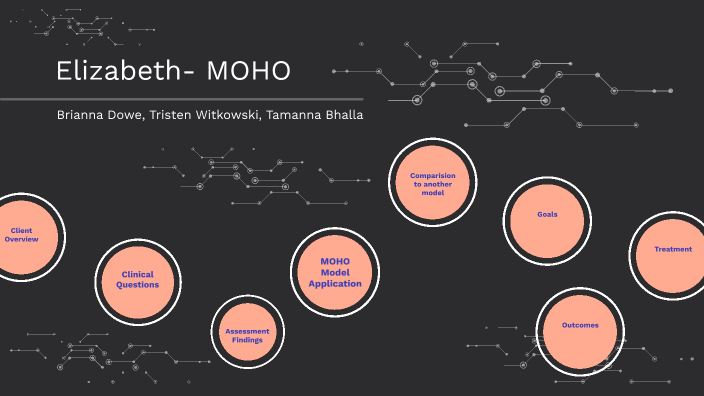 moho case study presentation