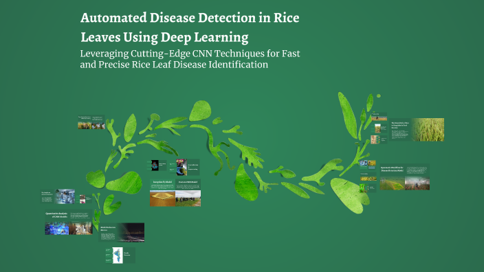 Automated Disease Detection in Rice Leaves Using Deep Learning by ...