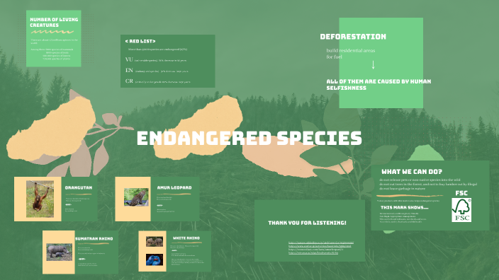 Endangered Species by la241047 ﾔﾏﾓﾄ ﾓｶ on Prezi