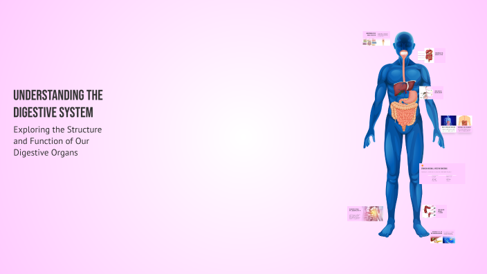 Understanding the Digestive System by Aparna Maheshram on Prezi