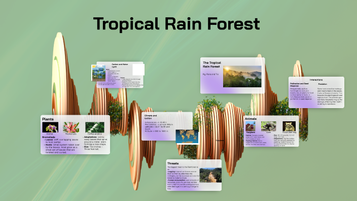 Tropical Rainforest by Tia Willey on Prezi