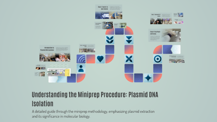 Mini Prep Protocol Understanding the Miniprep Procedure: Plasmid DNA Isolation by ...