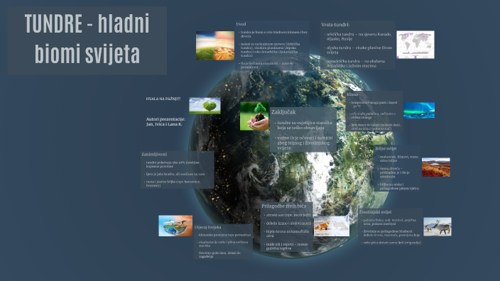 TUNDRA - Cold Biomes of the World by Jan Jancic on Prezi