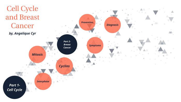 Cell Cycle and Breast Cancer by Angelique Cyr on Prezi