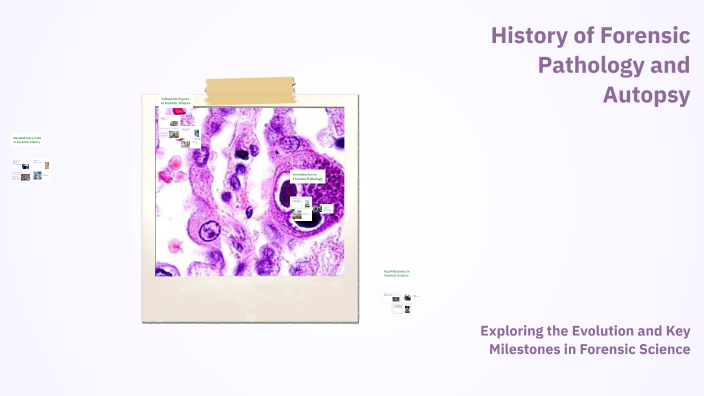 History of Forensic Pathology and Autopsy by Anıl Güler on Prezi