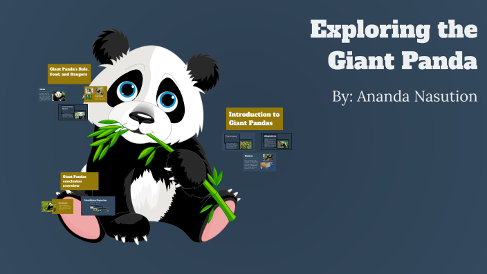Exploring the Giant Panda by Ananda Nasution on Prezi