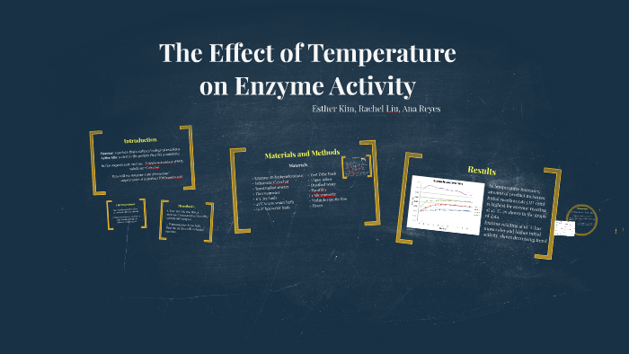 Effect of Temperature on Enzyme Activity by Esther Kim on Prezi