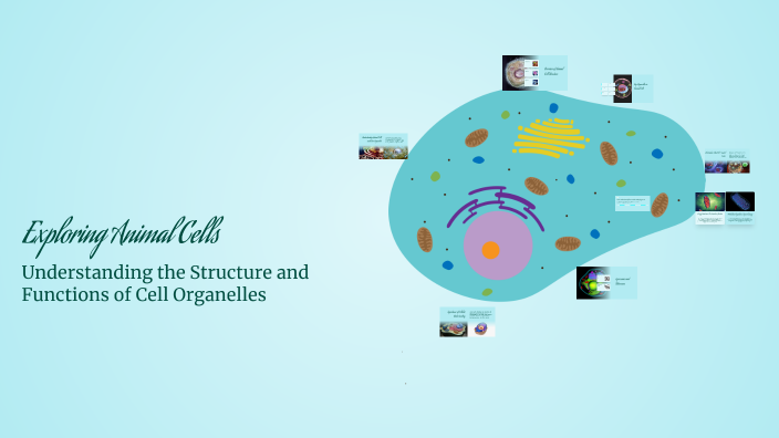 Exploring Animal Cells by jame blanza on Prezi