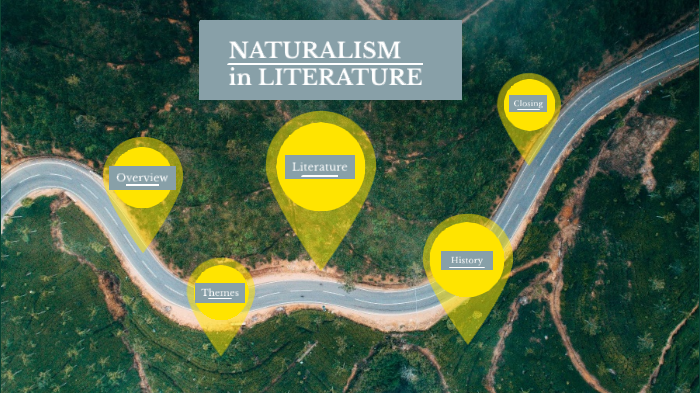 essay topics for naturalism in literature