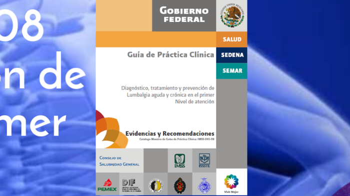 Guía de Práctica Clínica IMSS-045-08 Diagnóstico, tratamiento y