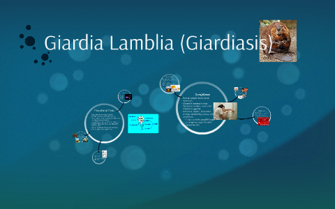 Giardia parasite diet
