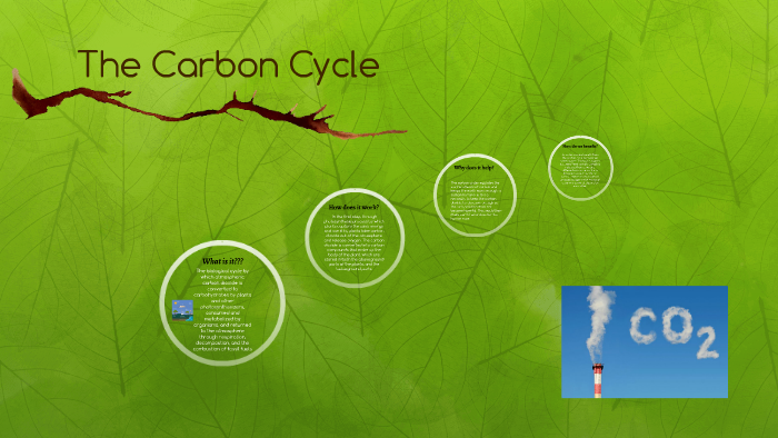 The Carbon Cycle by Nesto Jimenez on Prezi