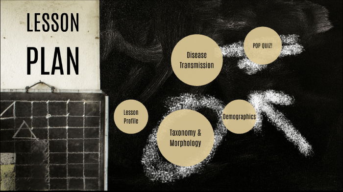 Pathogen Presentation - HIV by Lexie Riddle on Prezi