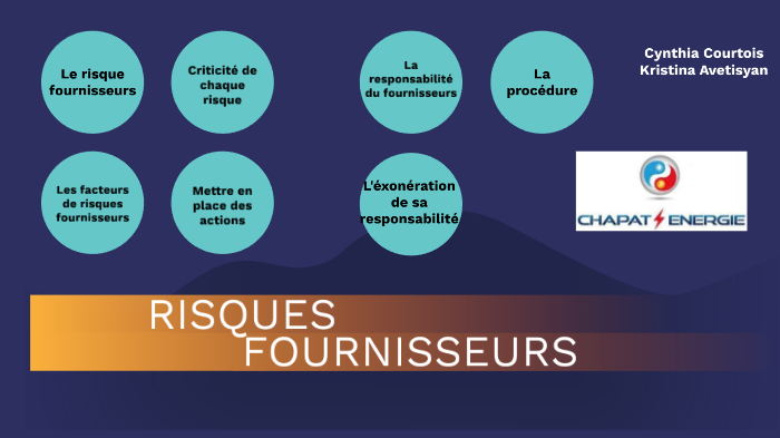 6- Risques fournisseurs by Cynthia Courtois on Prezi