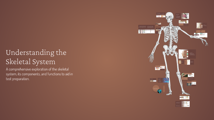 Understanding the Skeletal System by Kamari Jhene on Prezi