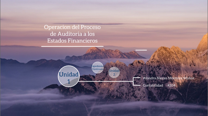 Operacion del Proceso de Auditoria a los Estados Financieros 4 by