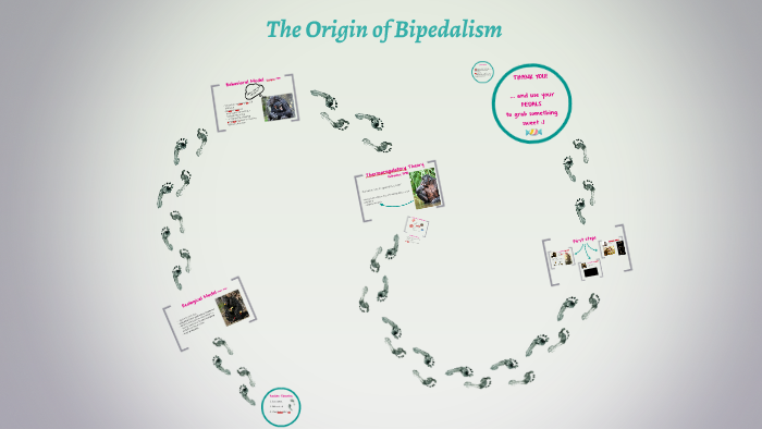 Bipedalism by Nikola Ondríková on Prezi