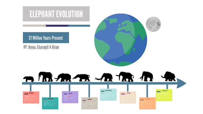 Elephant Evolution by Amna Choudry on Prezi