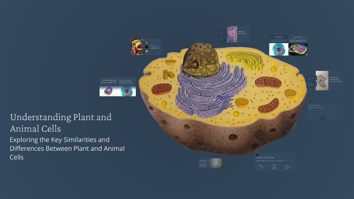 Understanding Plant and Animal Cells by Bently Wood on Prezi