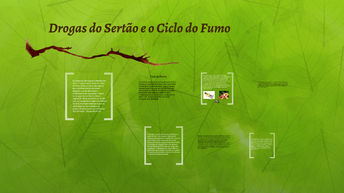 Escreva O Que Eram As Drogas Do Sertao Pesquise Exemplos
