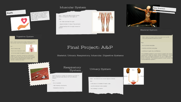 Final Project: A&P by Jakari Parker on Prezi