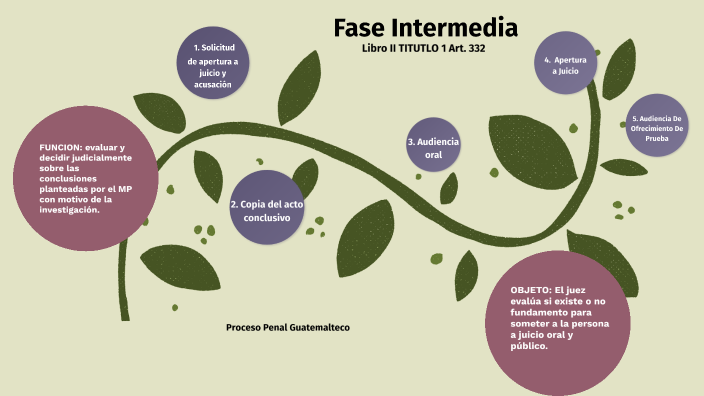 Fase Intermedia Del Proceso Penal Guatemalteco By María Elena De León Rodas 0964