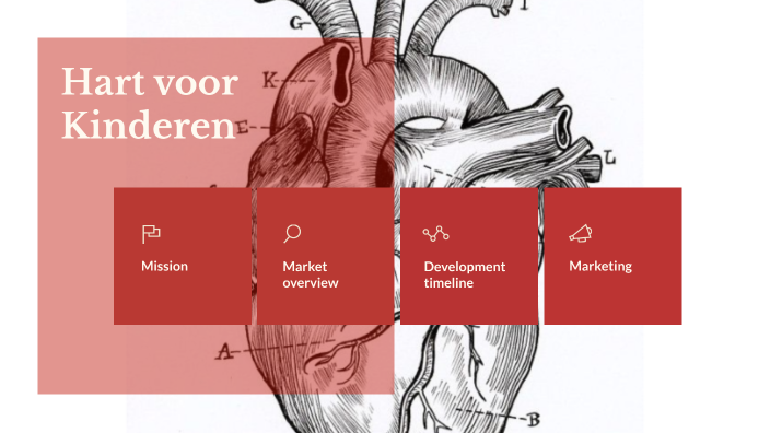 Hart Voor Kinderen By Astrid Doelam On Prezi