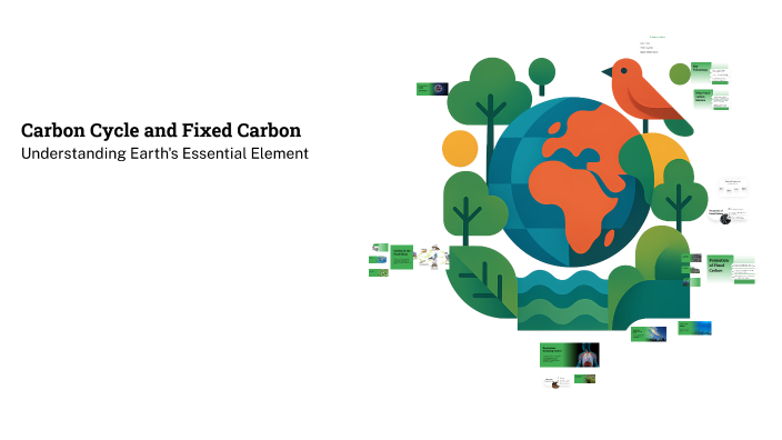 Carbon Cycle and Fixed Carbon by Lojain Adel on Prezi
