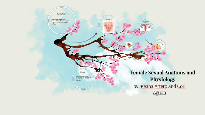 Female Sexual Anatomy And Physiology By Cori Aguon 8363