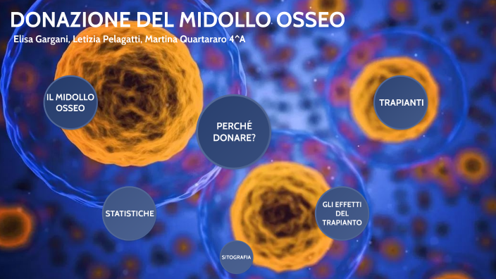 DONAZIONE MIDOLLO OSSEO By Martina Quartararo On Prezi