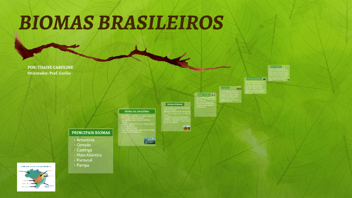 BIOMAS BRASILEIROS by Thaise Militão on Prezi