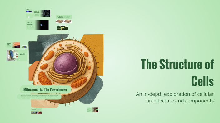 The Structure of Cells by Madelynn Bowers on Prezi