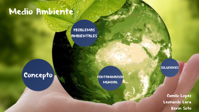 Medio Ambiente By Camilo Lopez Vergel On Prezi