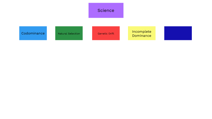 Science Concept Map by Levi Warren on Prezi