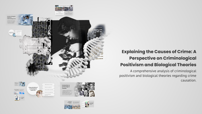 Explaining the Causes of Crime: A Perspective on Criminological ...