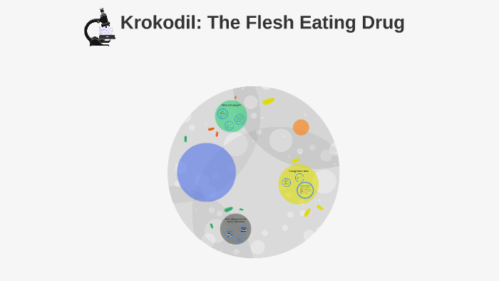 Krokodil: The Flesh Eating Drug By Joshua Lang On Prezi