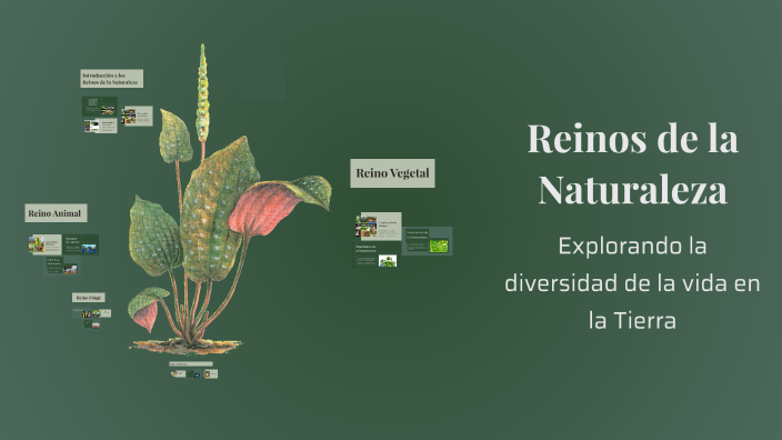 Reinos de la Naturaleza by Gabriela Calderon on Prezi
