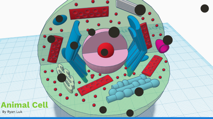 Cell Project by Ryan L. on Prezi