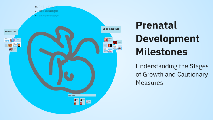 Prenatal Development Milestones by jada c on Prezi