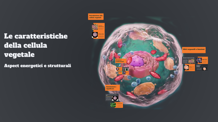 Le caratteristiche della cellula vegetale by Artion Cela on Prezi