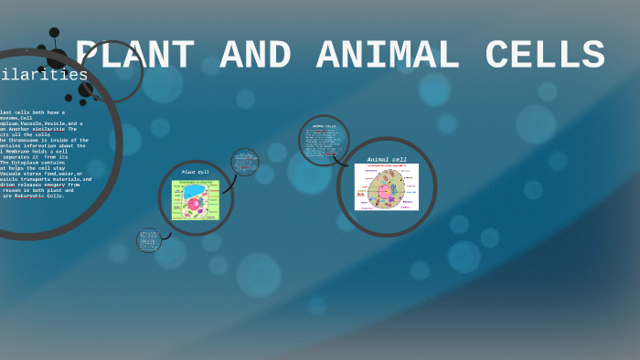 PLANT AND ANIMAL CELLS by Priscessa Copeland on Prezi