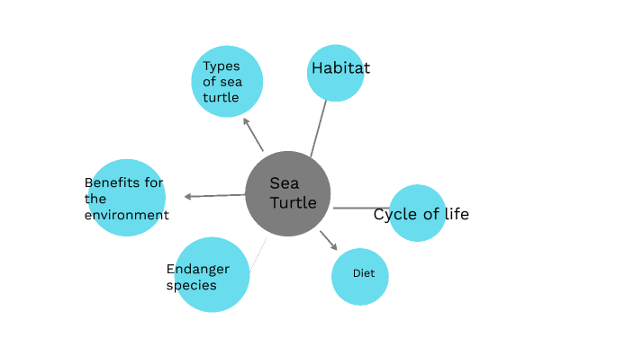 Sea Turtle by sheyla Hipolit on Prezi