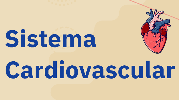 Sistema Cardiovascular by luu Contreras on Prezi