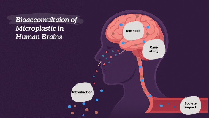 by Jawaher Alhinai on Prezi