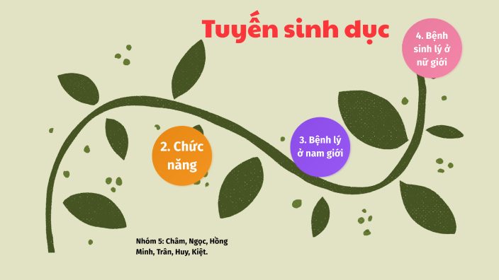 Tuyến Sinh Dục by Châm Si