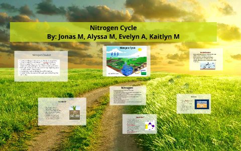 Nitrogen Cycle by Kaitlyn Martin on Prezi