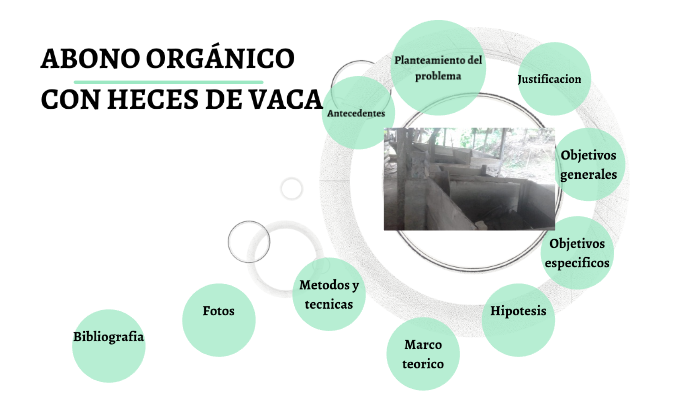 EL ABONO ORGANICO A BASE DE LAS HECES DE VACA by FATIMA JAEN on Prezi